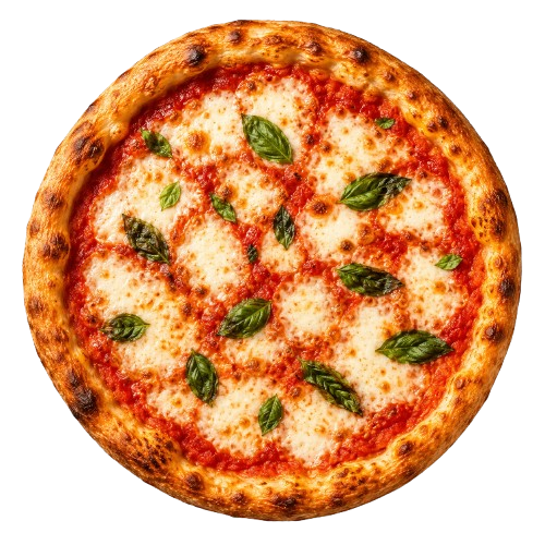 Pizza in Draufsicht